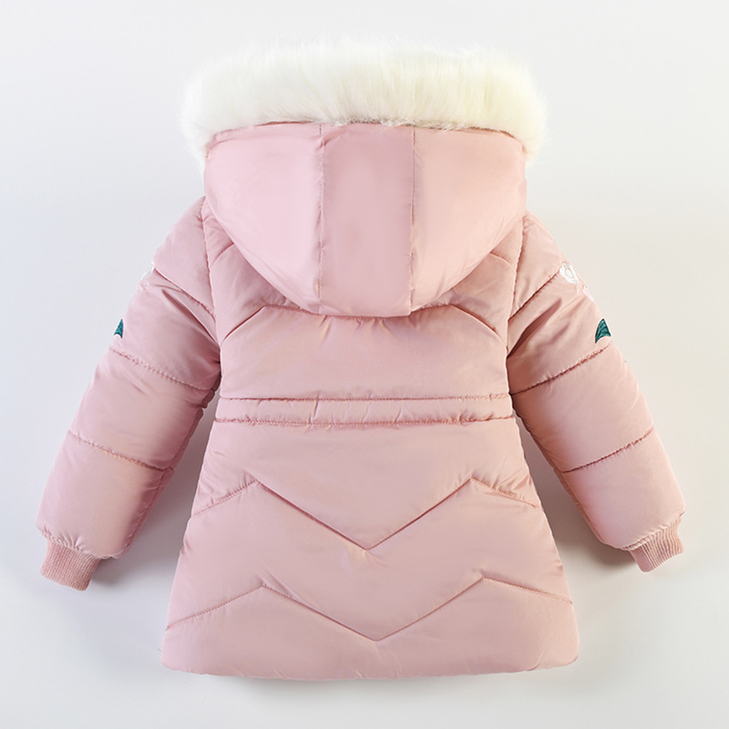 4 5 6 Years Autumn Winter Girl - Baby Clothing Zip review and price